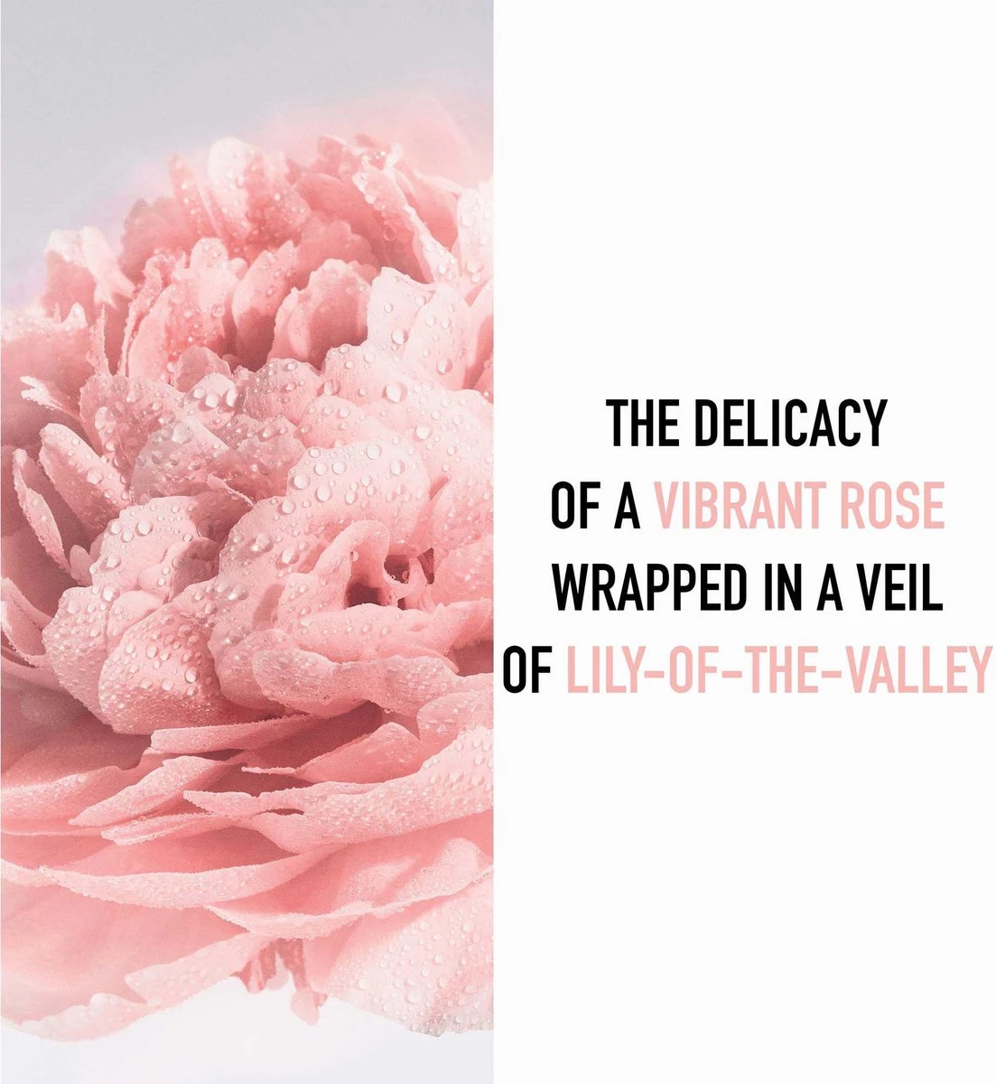 Dior Miss Dior - 100 Ml - Eau De Toilette - Afbeelding 7