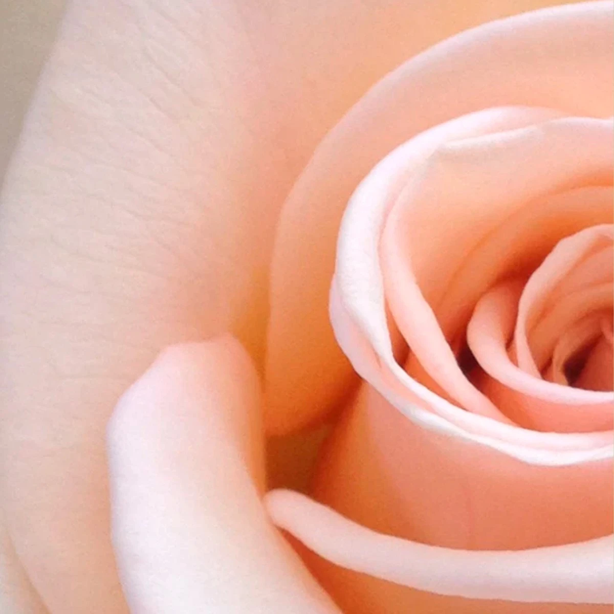 Spider-Man Eau De Toilette Spray - 100 Ml - Parfum Voor Kinderen - Afbeelding 3